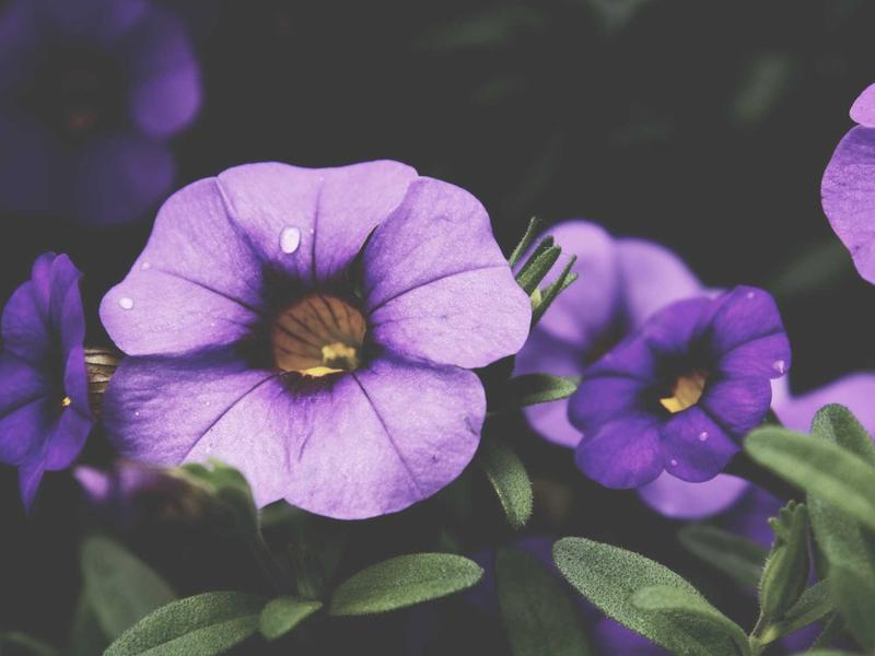 sudoku pattern learning screenshot 5