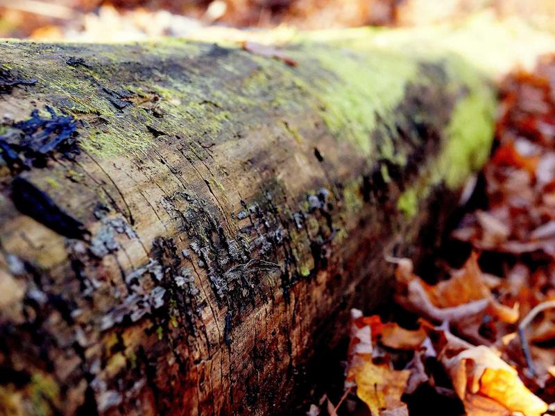 sudoku challenge mode screenshot 6