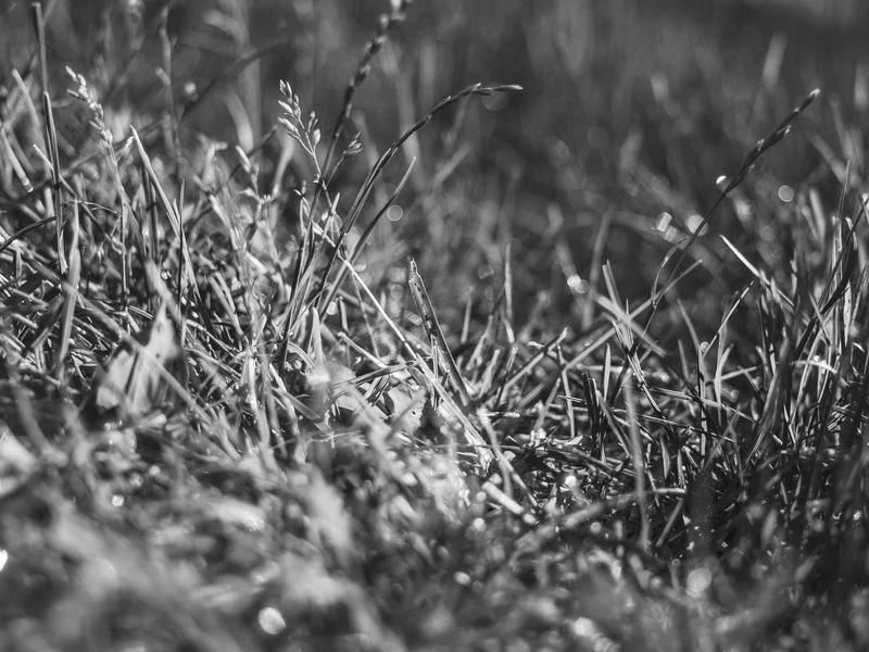 careers screenshot 3